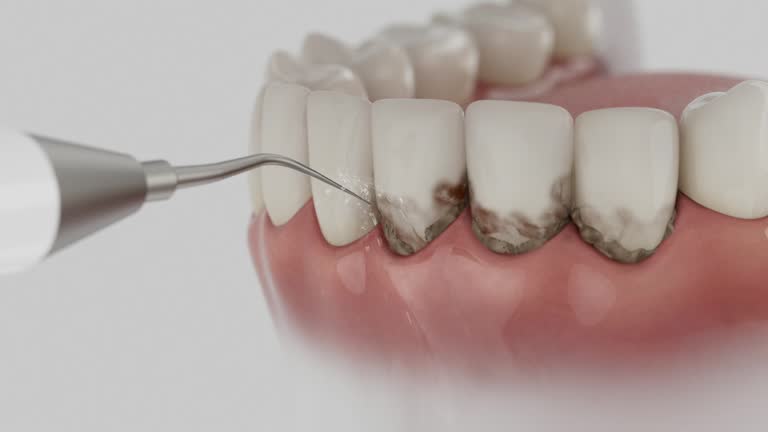 Reliable Dental contractor in Glenn Dale, MD by Dentist Open Now